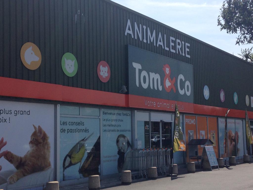 Tom Co Petite Forêt Animaleries Adresse